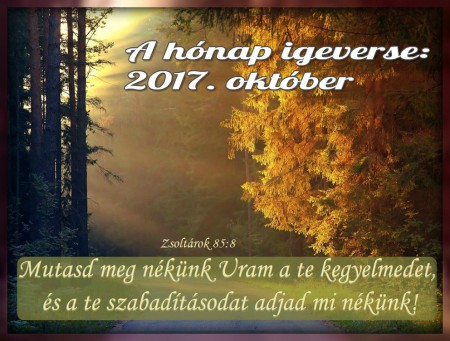 2017 - október hónap igeverse